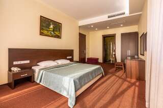 Отель Hotel Excelsior Одесса Стандартный двухместный номер с 1 кроватью и видом на море-16